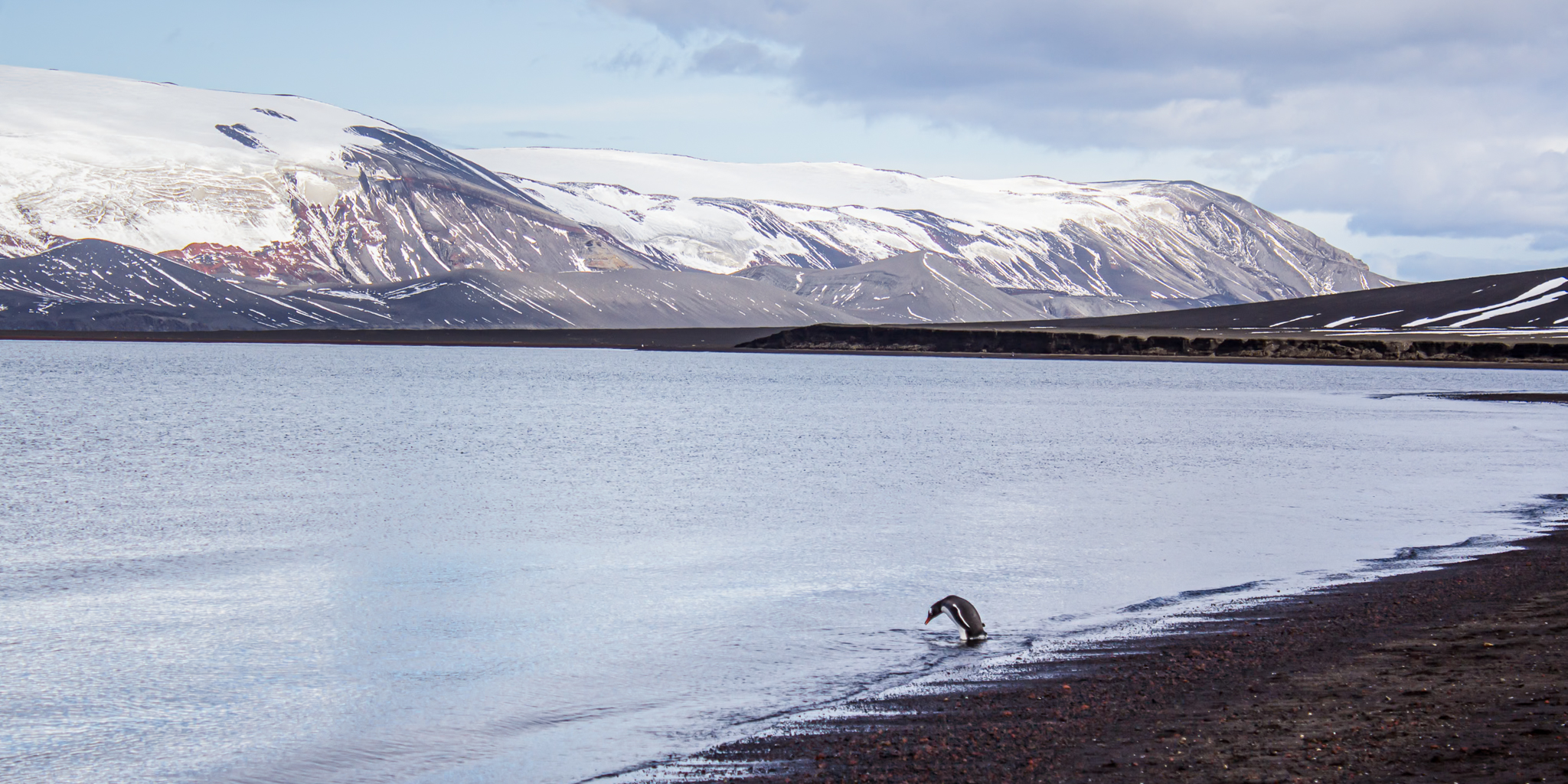 Antarctica photo